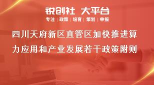 四川天府新区直管区加快推进算力应用和产业发展若干政策附则奖补政策