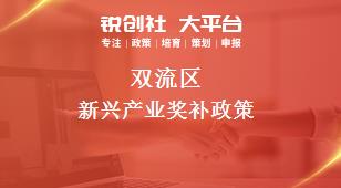 双流区新兴产业奖补政策