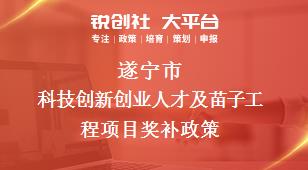 遂宁市科技创新创业人才及苗子工程项目奖补政策