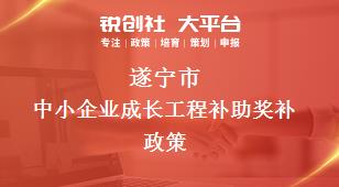 遂宁市中小企业成长工程补助奖补政策