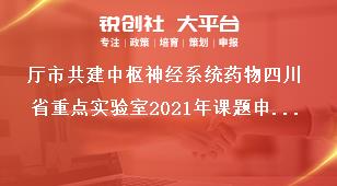 厅市共建中枢神经系统药物四川省重点实验室2021年课题申请时间及资助政策奖补政策