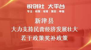 新津县大力支持民营经济发展壮大若干政策相关配套奖补政策