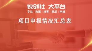 项目申报情况汇总表奖补政策