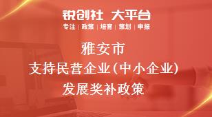 雅安市支持民营企业(中小企业)发展奖补政策