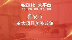雅安市重大项目奖补政策