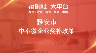 雅安市中小微企业奖补政策