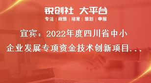 宜宾：2022年度四川省中小企业发展专项资金技术创新项目支持对象奖补政策