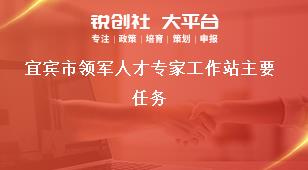 宜宾市领军人才专家工作站主要任务奖补政策