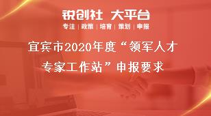 宜宾市2020年度“领军人才专家工作站”申报要求奖补政策