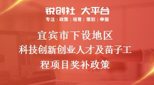 宜宾市下设地区科技创新创业人才及苗子工程项目奖补政策