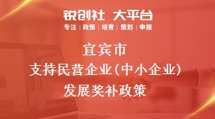 宜宾市支持民营企业(中小企业)发展奖补政策