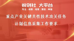重点产业关键共性技术攻关任务计划信息采集工作要求奖补政策