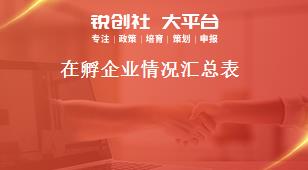 在孵企业情况汇总表奖补政策