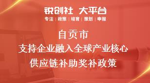 自贡市支持企业融入全球产业核心供应链补助奖补政策