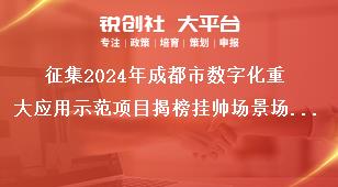 征集2024年成都市数字化重大应用示范项目揭榜挂帅场景场景方向奖补政策