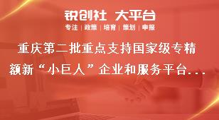重庆第二批重点支持国家级专精额新“小巨人”企业和服务平台申报对象奖补政策