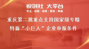 重庆第二批重点支持国家级专精特新“小巨人”企业申报条件
奖补政策