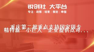 重庆第二批重点支持国家级专精特新“小巨人”企业提供点对点服务的服务平台申报材料奖补政策