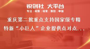 重庆第二批重点支持国家级专精特新“小巨人”企业提供点对点服务的服务平台申报条件奖补政策